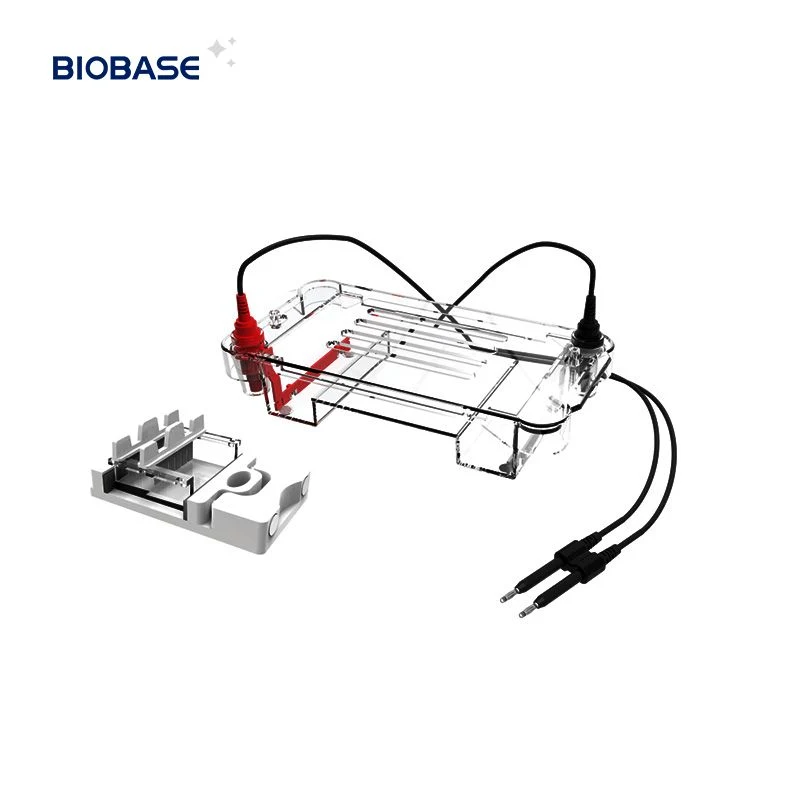 Electroforesis Vertical Biobase cn la prueba de PCR de depósito utilizar el ácido nucleico/proteínas electroforesis en caliente de Venta