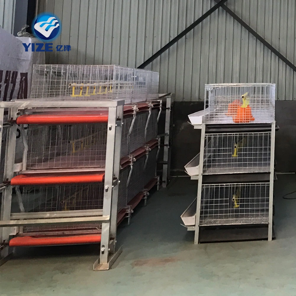 Automatic 4 Tier H Type Broiler Cage in Philippines Battery Chicken Cages for Commercial Broiler