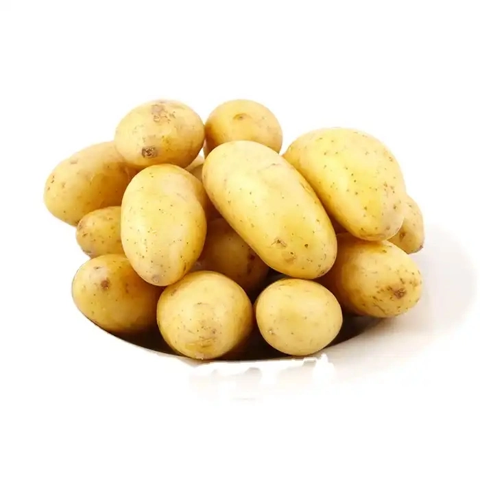 Fresh Potatoes Ukraine Fresh Potato