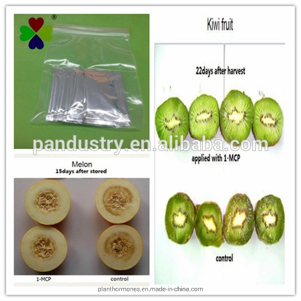 Fresh-Keeping Agent Fruit Preservative 1-Mcp Powder Price for Kiwifruit