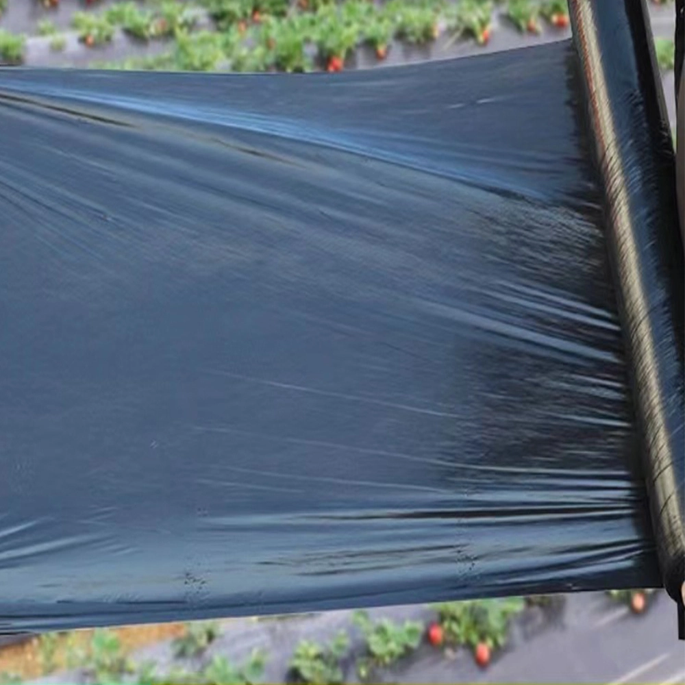 PLA Modified Material Pbat Plastic Crop Protection Mulching Film Agriculture Film