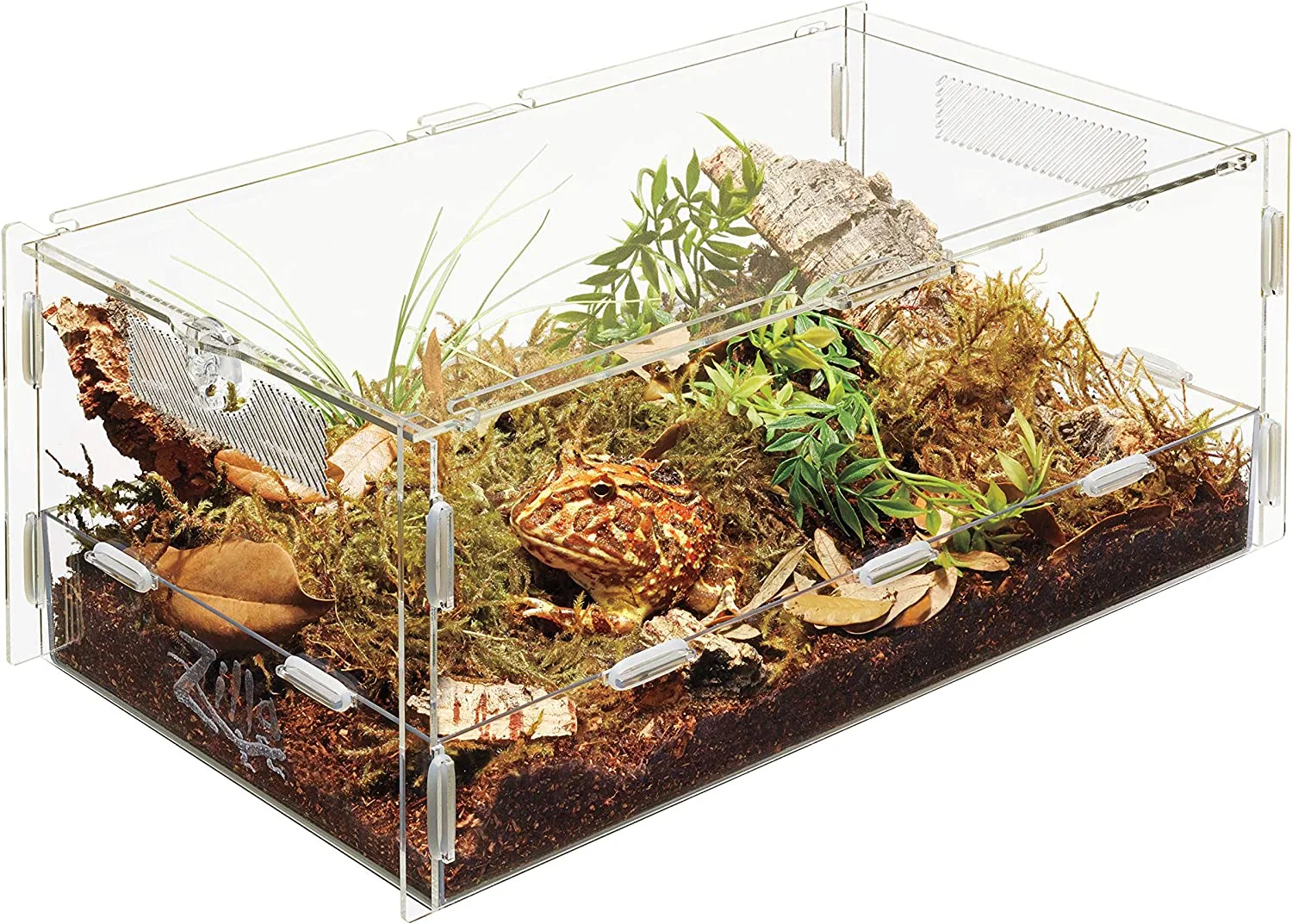 Manufacturers of Acrylic Reptile Show Display Box
