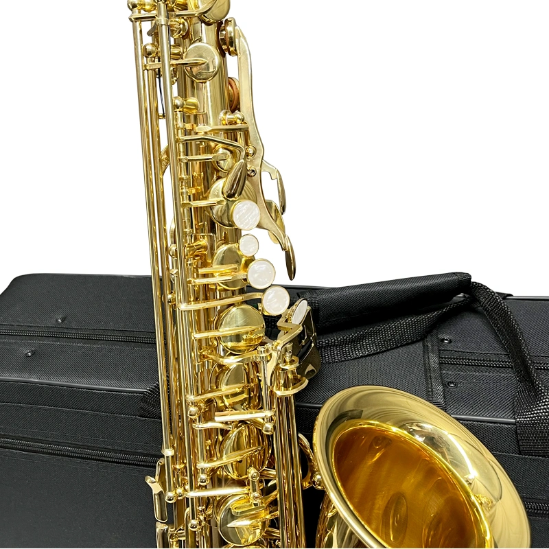 China Aiersi High Grade Alto Saxophone with Cost Factory Price