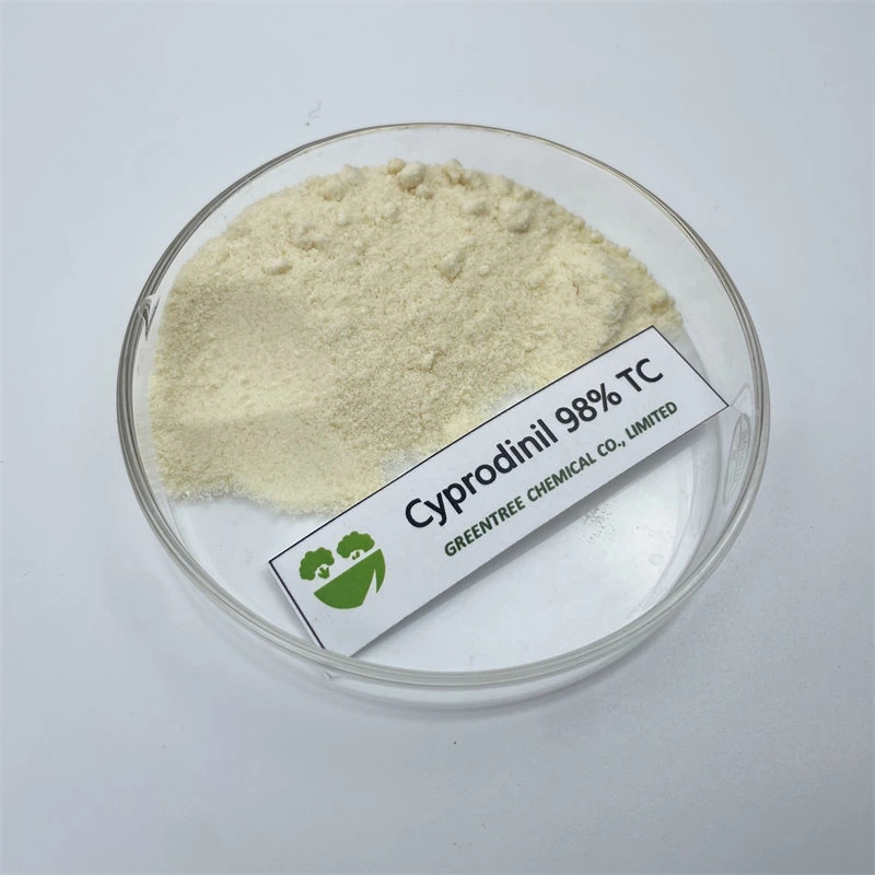 121552-61-2 Pesticide fongicides cyprodinil 98 % TC