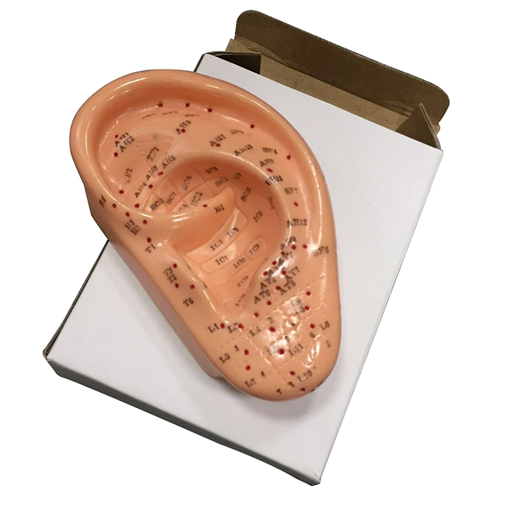 Human Acupuncture Model 13cm Ear Acupuncture Model Soft Flexible Model Ear Displays for Acupuncture