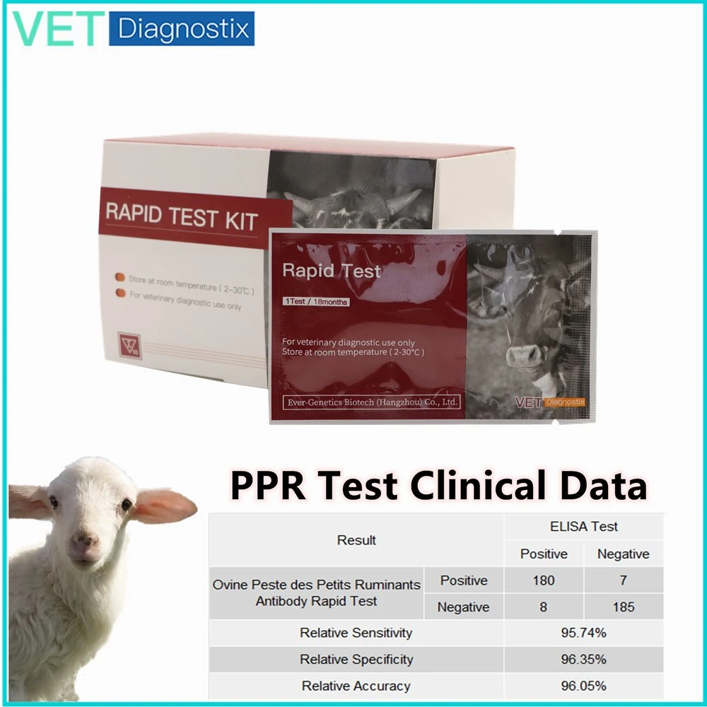 PPR Test Ab Test Rapide du Virus de la Peste des Petits Ruminants chez les Ovins