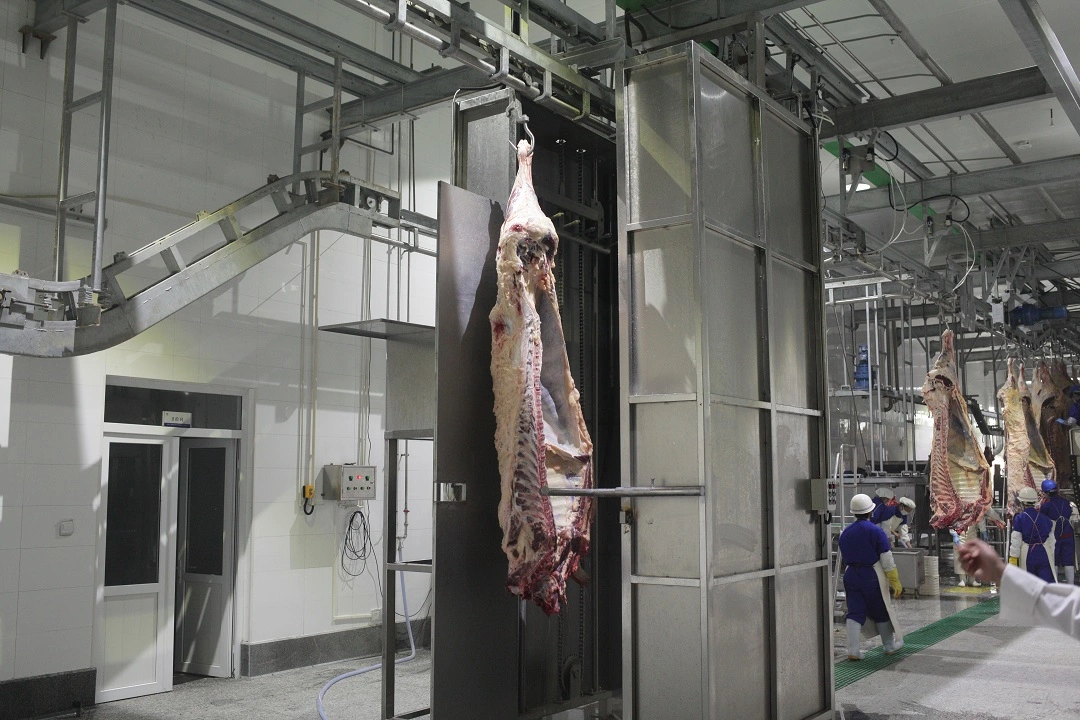 Ganado máquina de la sierra de la carne máquina de la limpieza Equipo del Abattoir del ganado