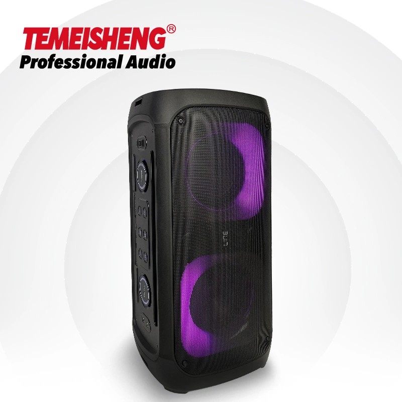 Dual 6.5 Inch Tws/Rec/USB Function Portable Straps Active Party Circling Light Speaker