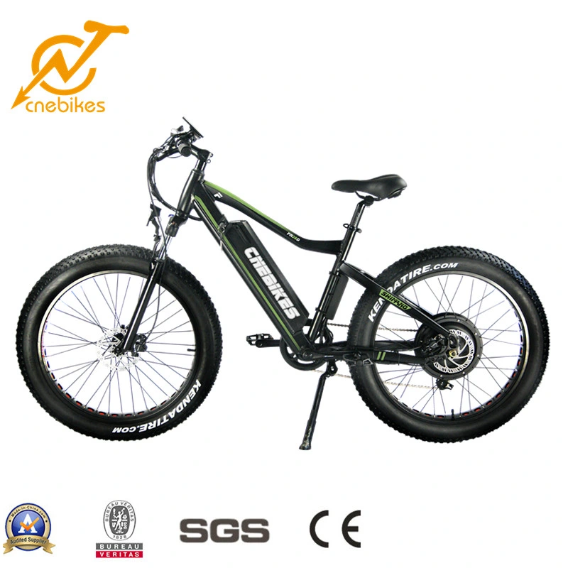 Ce Bafang MID Electric Fat Tire Mountain E Bike 48V/750W/1000W