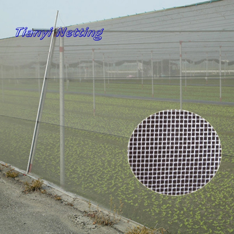 HDPE 70GSM Transparent Color Anti Insect Net