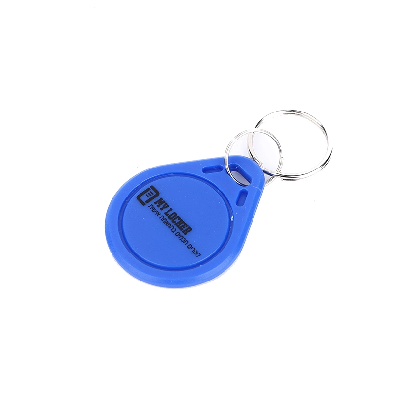 Low Frequency Keyfob / Lf RFID Tags / ABS Keychain for Access Control