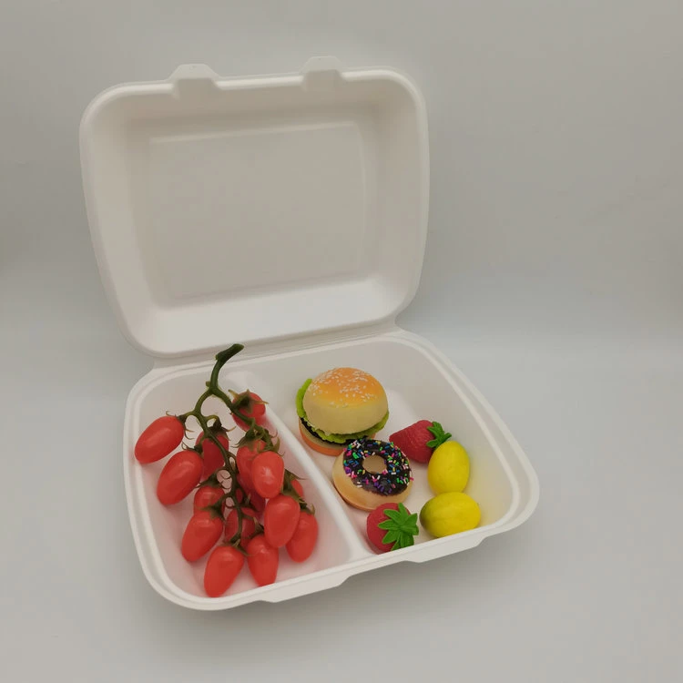 Ok-Compost 8 Inch Biodegradable Sugarcane Bagasse Fiber Paper Clamshell Takeaway Food Packaging Box Container