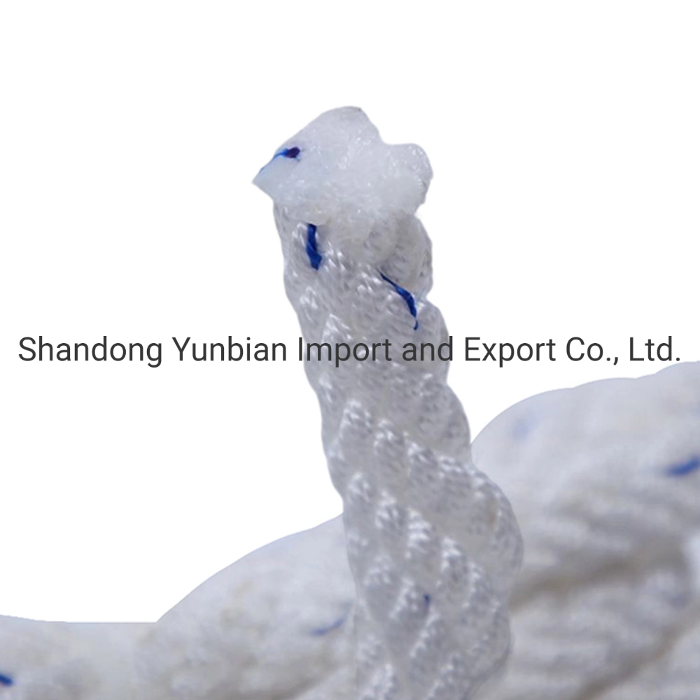 Outdoor Equipment 10mm-16mm Safety Polyester Climbing Rope