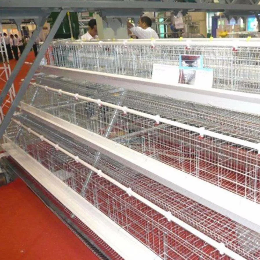 Poultry Feeding Equipment/Livestock Machinery/Equipment/Hot Galvanized Automatic Chicken Farm Poultry Cage System/Battery Layer Cage for Broiler/Poultry Farm