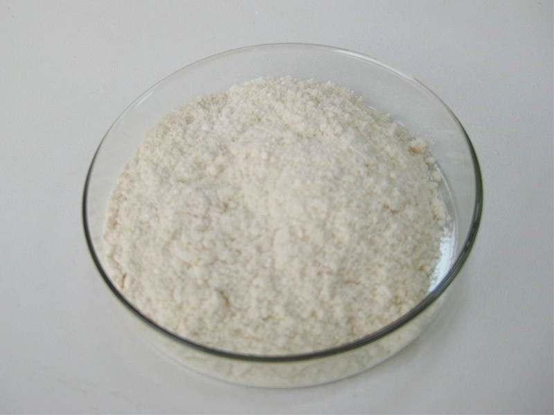 Lyphar Supply Good Taste Fruit Powder Orange Powder