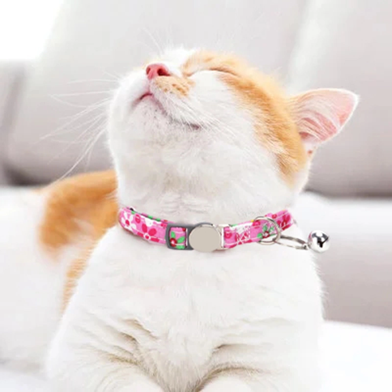 Pet Supplies 2023 New Style Pet Collar Cuteengrable Pet Name Cat Collar