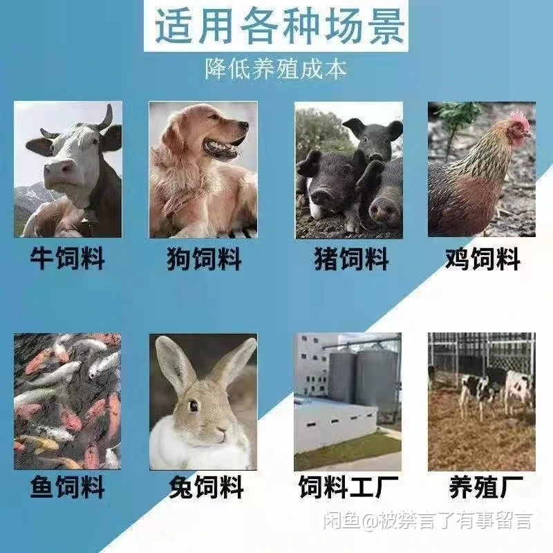 Completamente automática de alta eficiencia de consumo energético de China máquina de comida para perros alimento de peces de la línea de producción flotante