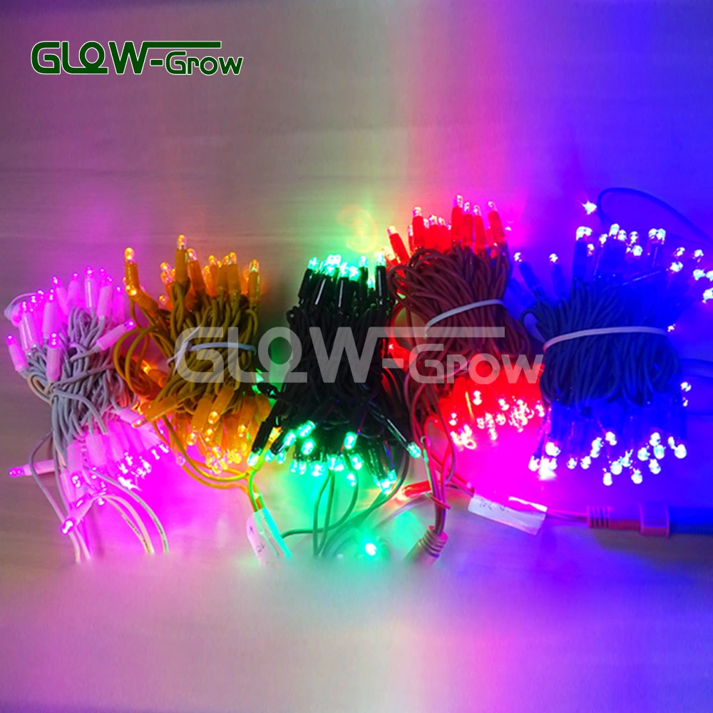 50LED 5m Guirlande Lumineuse LED en Fil de Caoutchouc Multicolore pour Décoration Extérieure