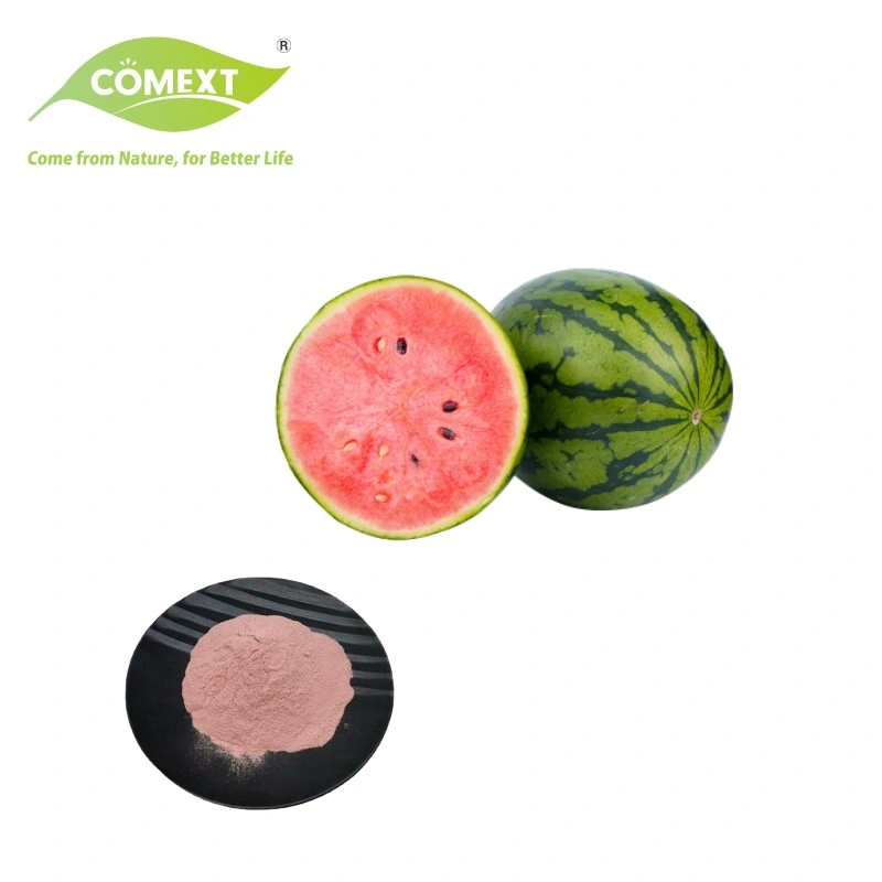 Comext Wassermelone Extrakt Pulver Wassermelone Fruchtsaft Pulver