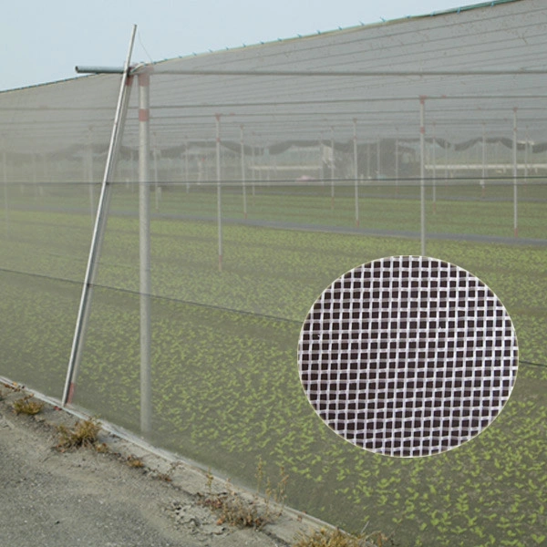 Custom Specification Thickened Vegetable Greenhouse Vegetable Insect Net