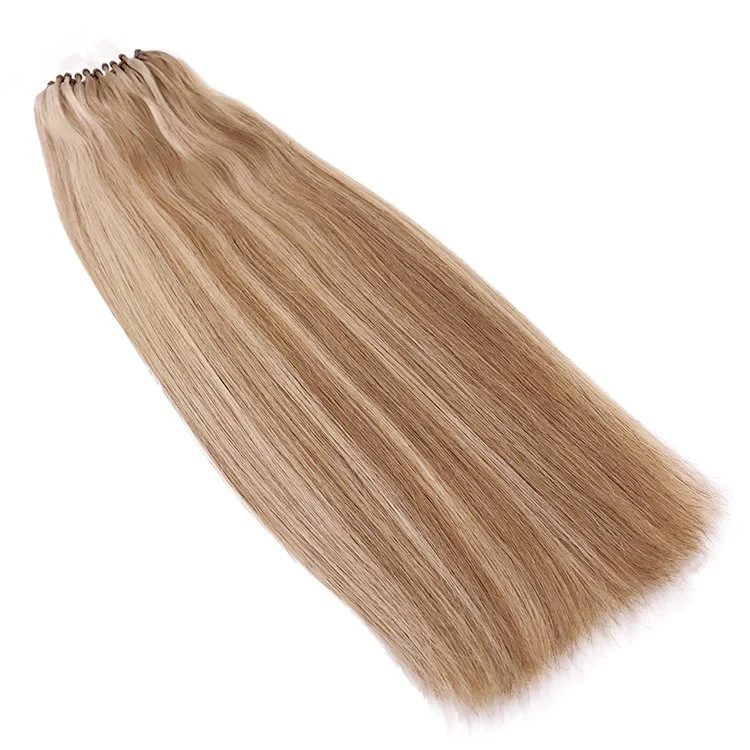 Wholesale/Supplier Factory Direct Supply Mink Custom Color Micro Ring Hair Extensions Human Hair