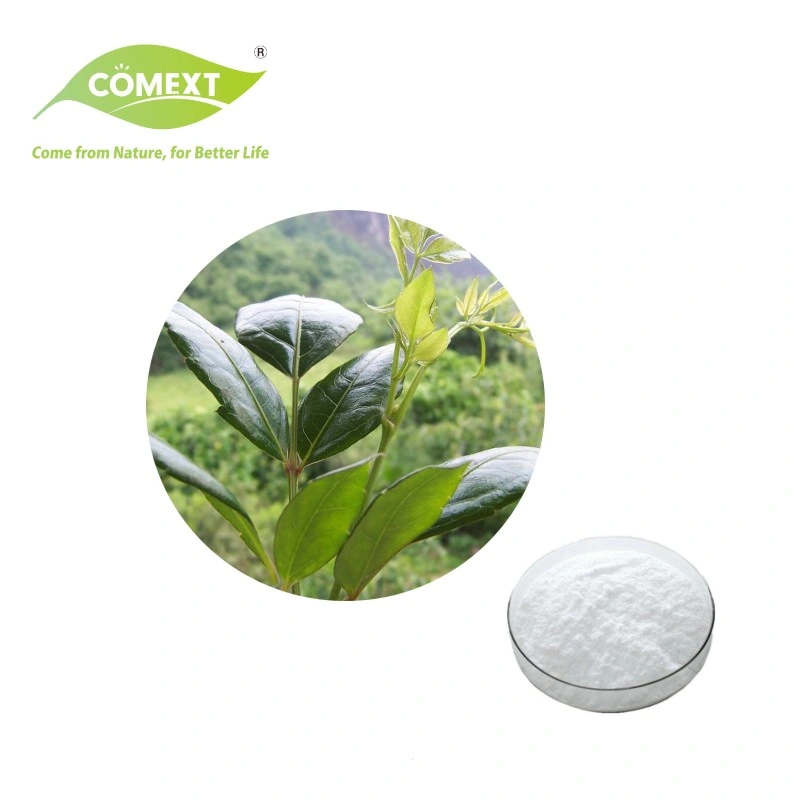 Certificados Comext de alta qualidade FSSC ISO Halal Kosher 98% Dihydromyricetin DHM Vine Tea Extract for Liver Protection