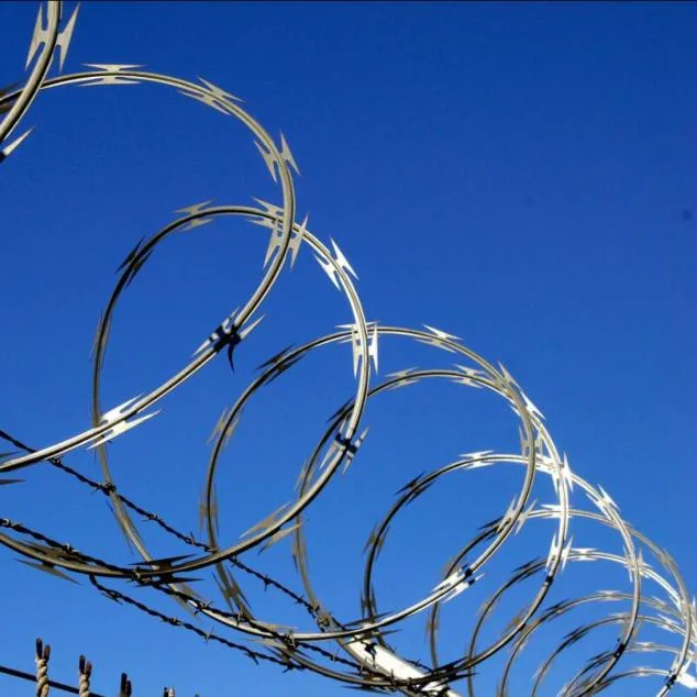 Galvanized Concertina Razor Barbed Wire with Bto 22 Cbt 60 Razors Used in Military Fields