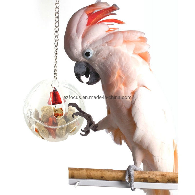 Pet Bird Food Box Hanging Pet Feeders Ball Pet Supplies for Parrot Bird Hanging Toy Cage Accessories Wbb12592