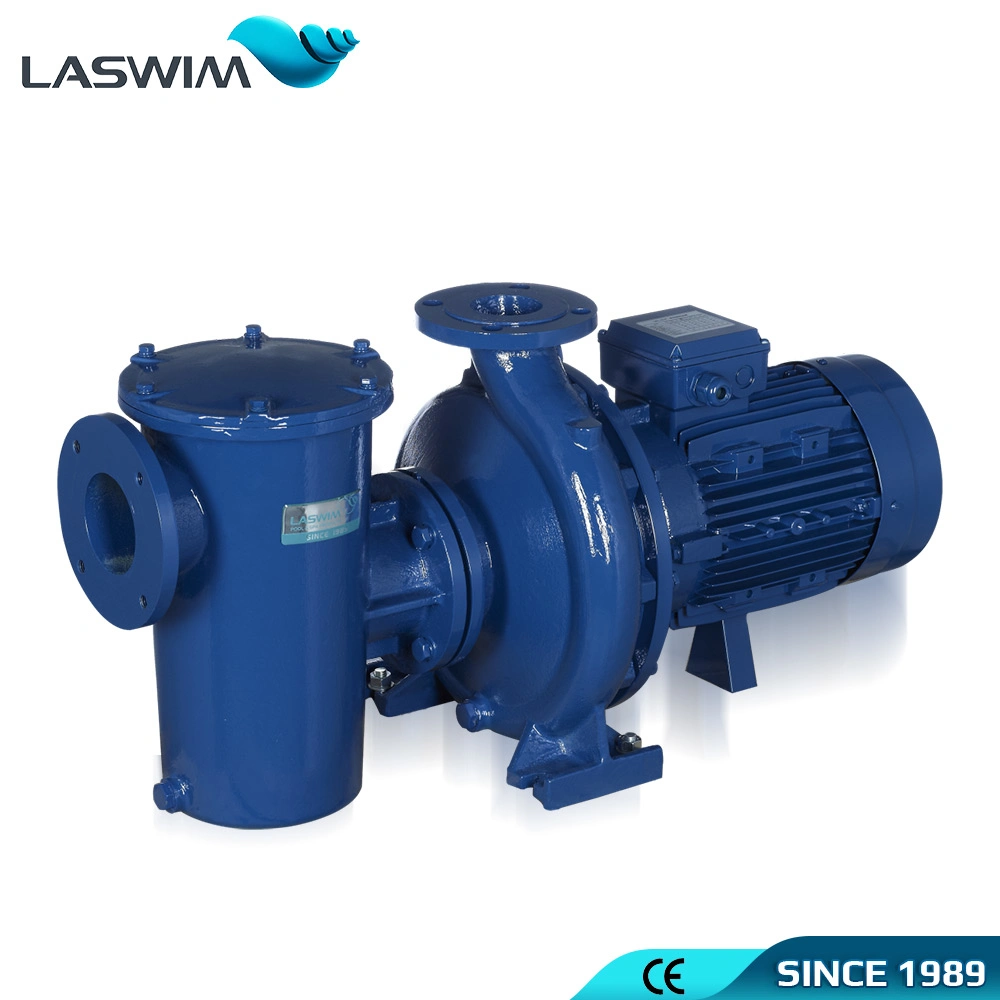 China Manufacturer Factory Price Swimming Pool Pump High quality/High cost performance  Water Pump