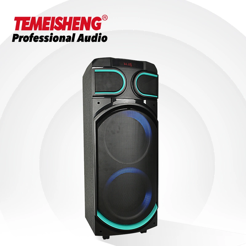 Temeisheng 8 Inch Party Box 100 Watt Professional Portable Wireless Audio Blueotth Speaker with Microphone