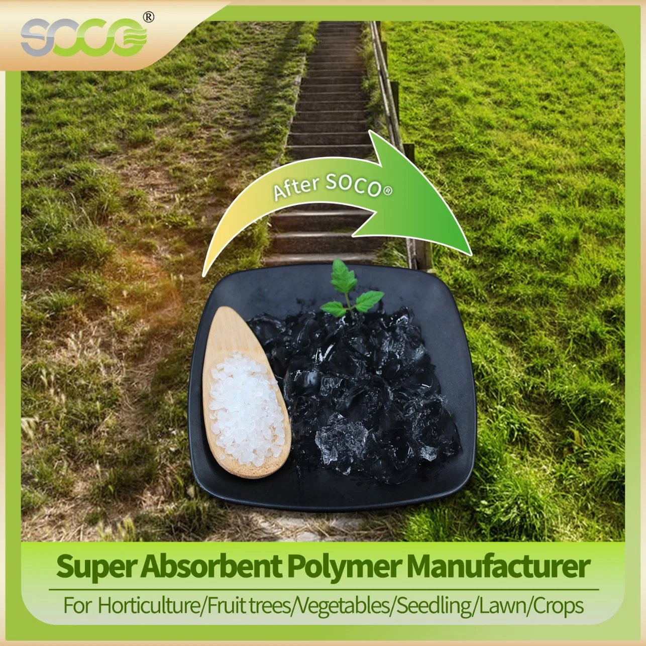 Super Absorbent Polymer Powder,Sodium Polyacrylate Hydrogels,Potassium Polyacrylate Crystal Gel,Sap Manufacturer for Agriculture,Industrial,Plants,Vegetables