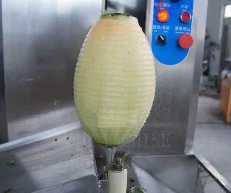 Duplex automatic pineapple and coconut peeling machine