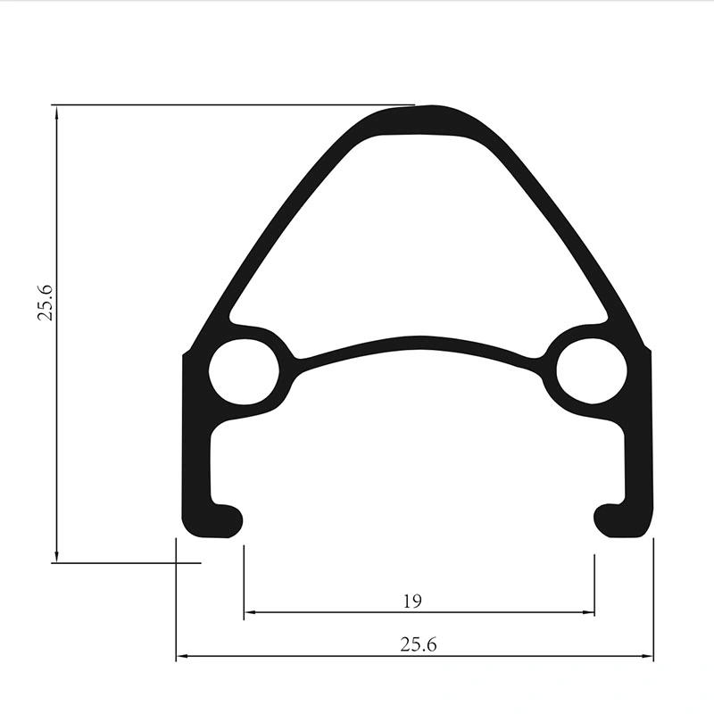 Professional Cutomized Double Wall Alloy Bicycle Rim