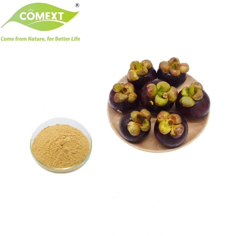 Extrato vegetal Natural Comext fornecimento a granel 40% Alfa Mangostina Organic Pó de extracto de mangosteen