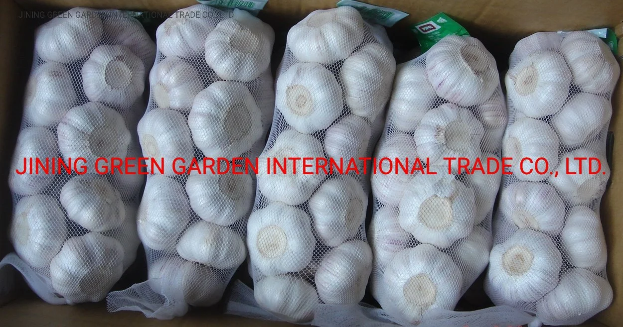 Chinese Best Wholesale/Supplier High quality/High cost performance  Fresh Garlic Price -New Crop