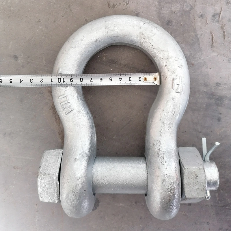 Screw Pin Anchor Shackle for Ship