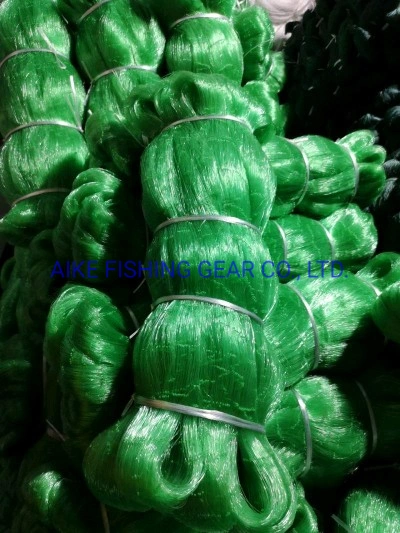 Hot Sale Fishing Tackles, Nylon Monofilament Fishing Net, 0.40mm-0.50mm-0.70mm, 48MD-100MD, 100m, Double Knots, Green Color, The Best Strength