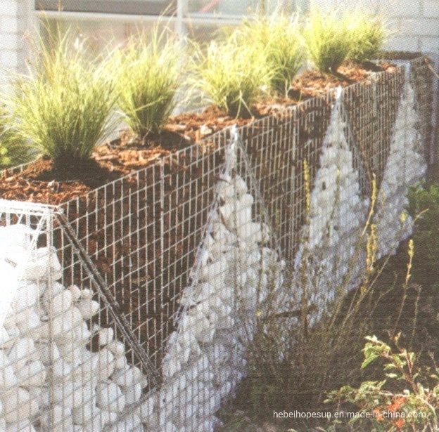 Hot Dipped Galvanized Gabion Mesh Box Basket