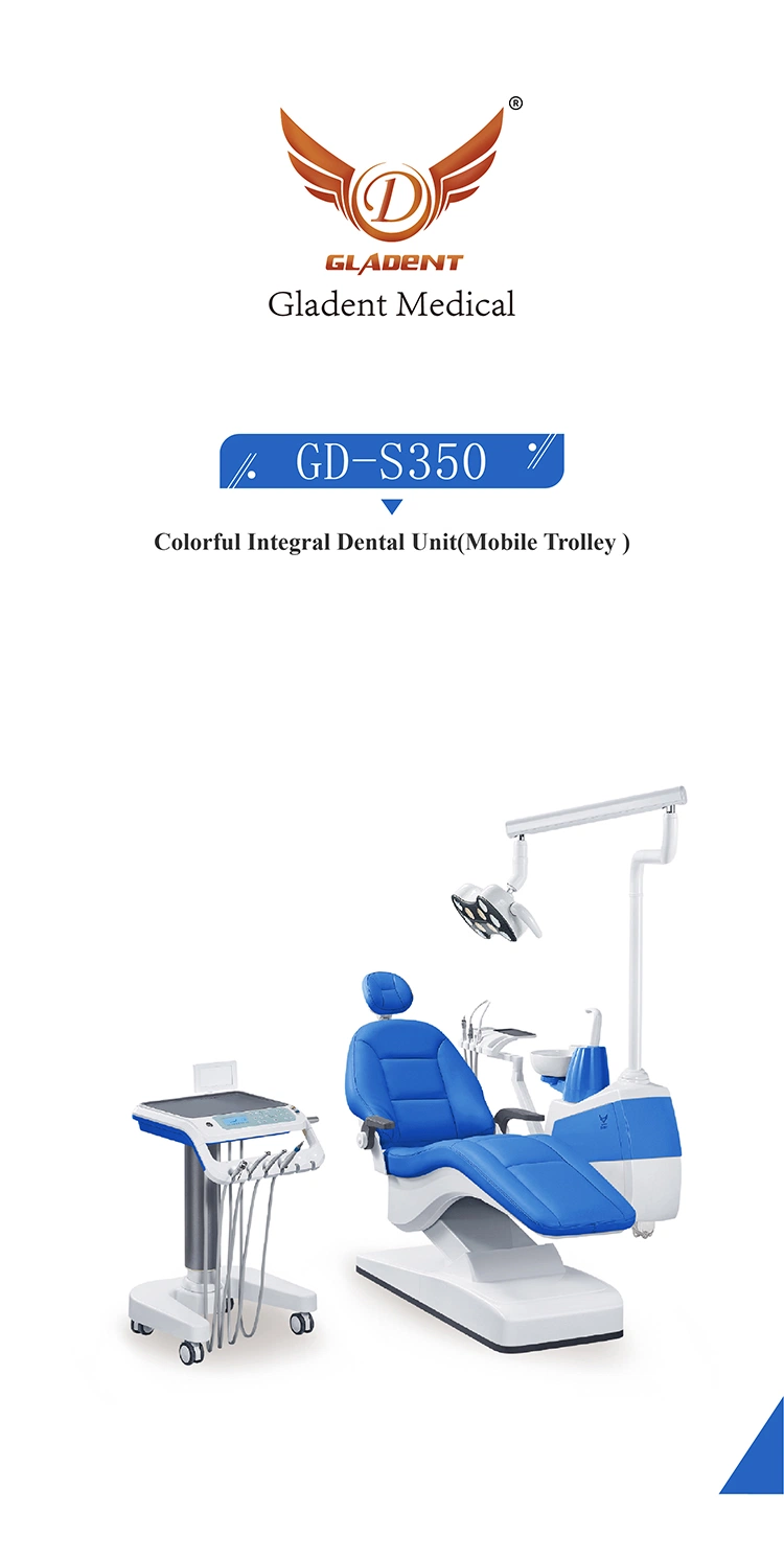 Solid Metal Boxes Ce&ISO Approved Dental Chair Italian Dental Chairs/Biotec Dental Equipment/Patterson Dental Chairs