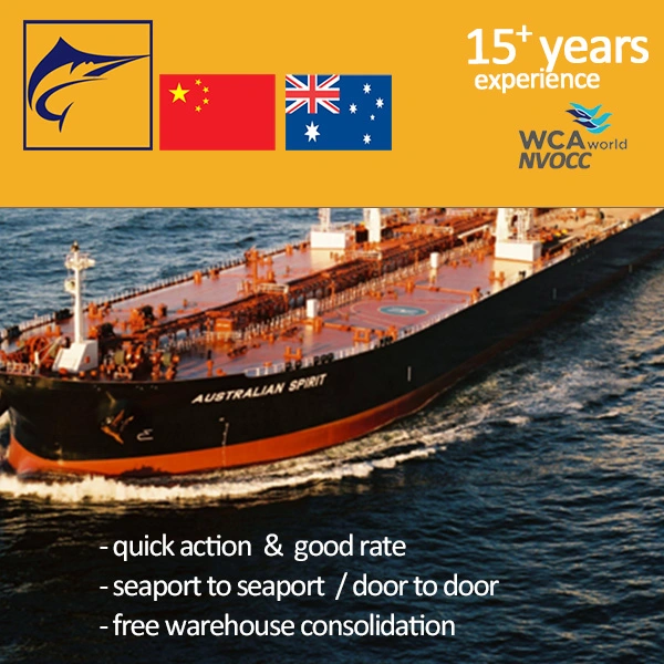 Agente de carga profesional con proveedor de servicios de logística experimentado LCL FCL Envío de contenedores desde China a Australia/México por mar DDP DDU