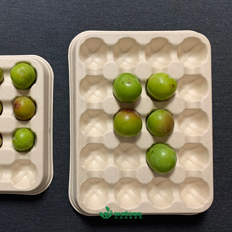 100% Eco Friendly Sugarcane Bagasse Disposable Food Fruit Vegetable Bayberry Packaging Box 12 Holes Food Tray for Strawberry Trays with Pet Lid