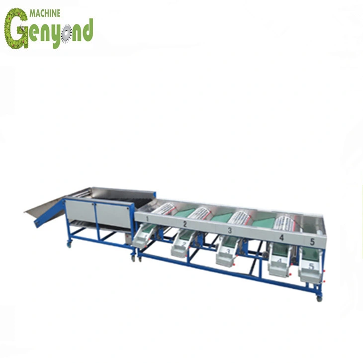 Original Factory Industrial Potato Sorting Machine