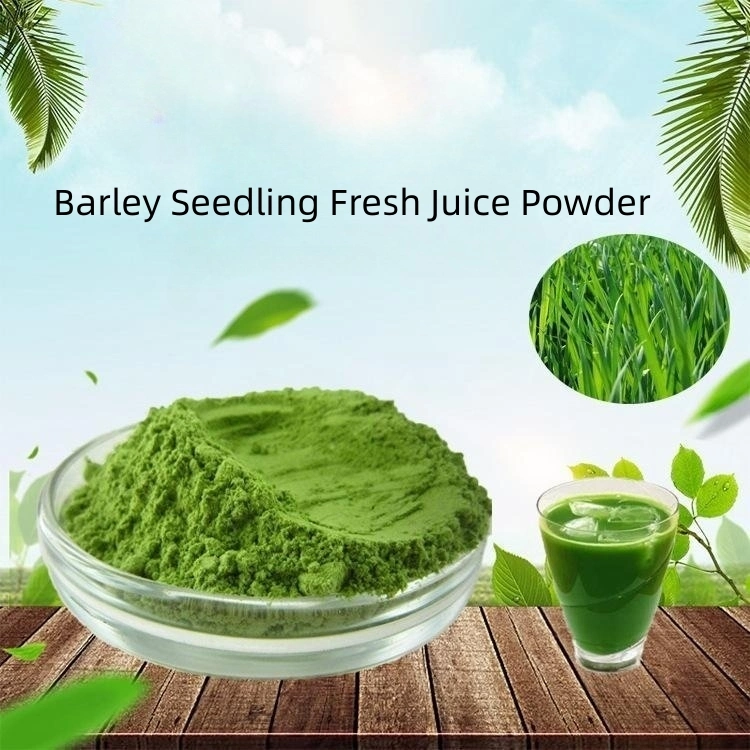 High Quality and Health Care Barley Seedling Fresh Juice Powder