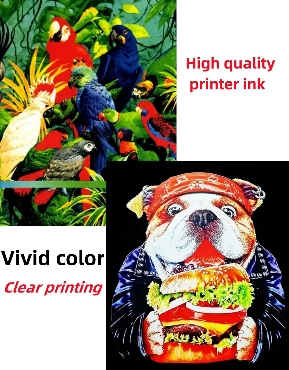 Wholesale/Supplier Cheap Textile Printing Ink Tshirt Pet Transfer Film Dtf Ink with Hot Melt for Epson Printer