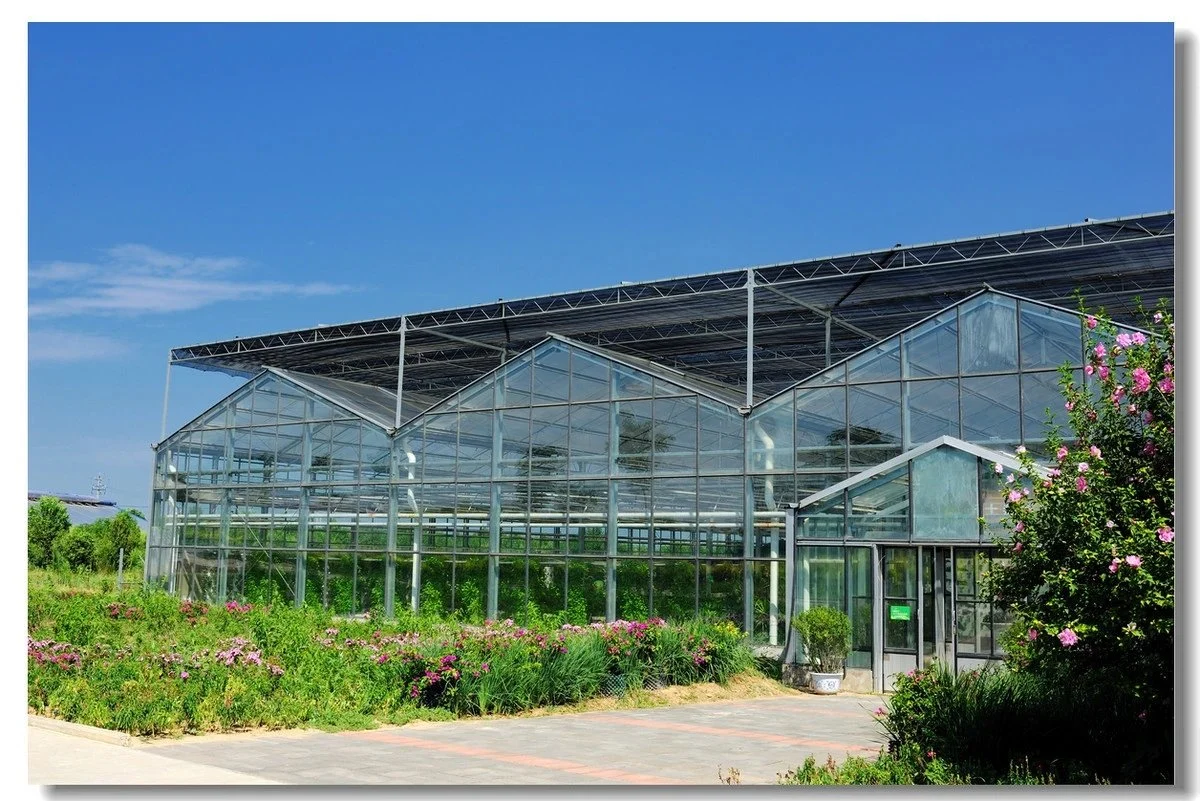 Agriculture Multi Span Glass Green House for Vegetable/Flower/Fruits/Hydroponic Systems/Automatic Irrigation System