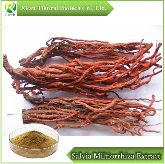 Natural Salvia Miltiorrhiza Extract Tanshinone in Stock