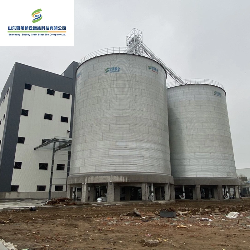 Customizable Popular Galvanized Soybean Flat Bottom Silo