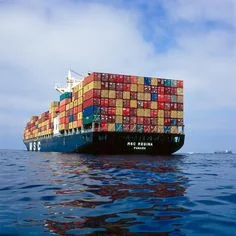 Sea Freight Service China Ninggo to Damietta Port Egypt Ocean Shipping Forwarder Low Price