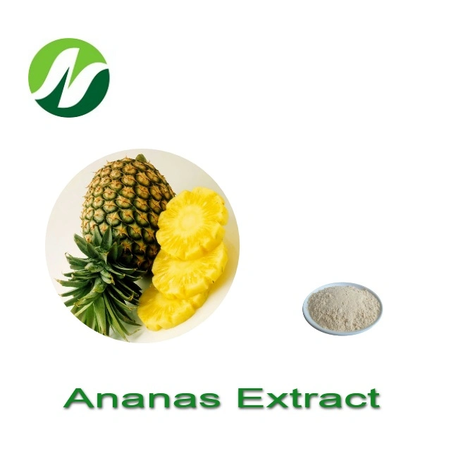 250-2400 Gdu/G Bromelain Ananas Extract Pineapple Extract