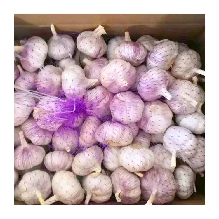 New Wholesale/Supplier Jiangsu Good Price Export Solo Pure Peeled Fresh Dried Normal/Super White Dehydrated Garlic